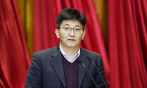 中海油阎洪涛在两会上建议大力推动岸电入海，将岸电动力平台作为海上支持中心